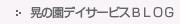 �W�̉��f�C�T�[�r�X�u���O