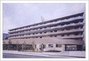 rapore